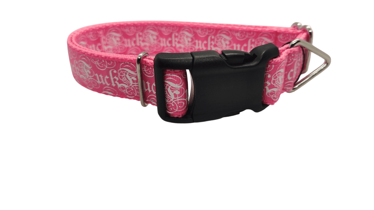 Fuck Pink Nylon Dog Collar - Paws & Play Paradise