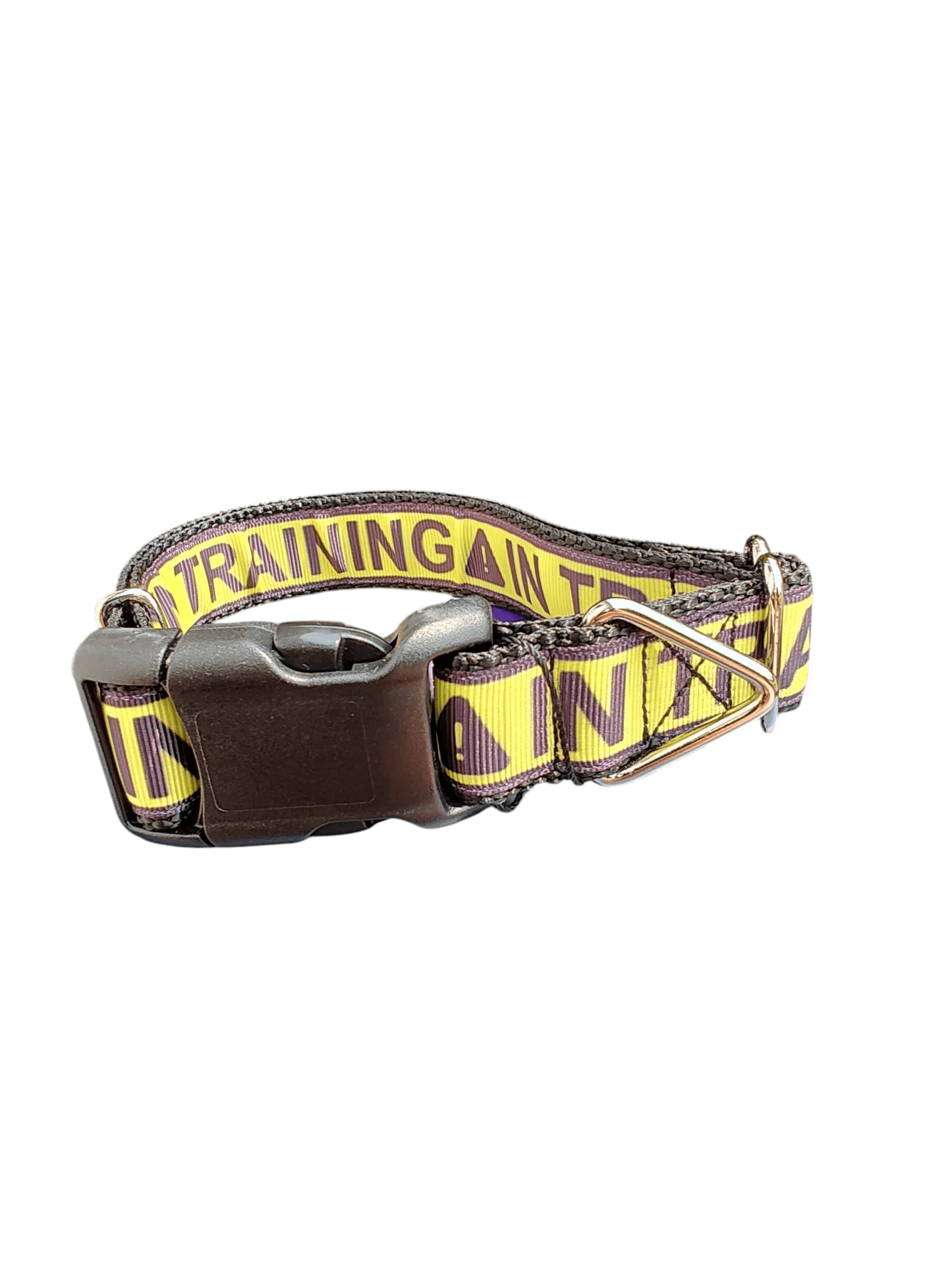 In Training Nylon Dog Collar - Paws & Play Paradise
