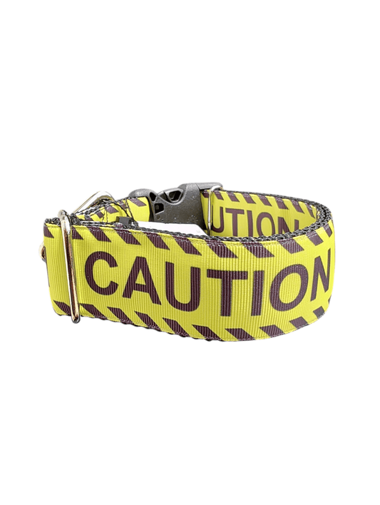 1.5" Wide Caution Nylon Dog Collar - Paws & Play Paradise