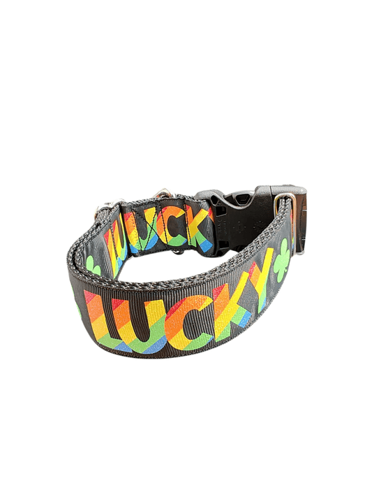 1.5" Wide Lucky Rainbow Clover Nylon Dog Collar - Paws & Play Paradise
