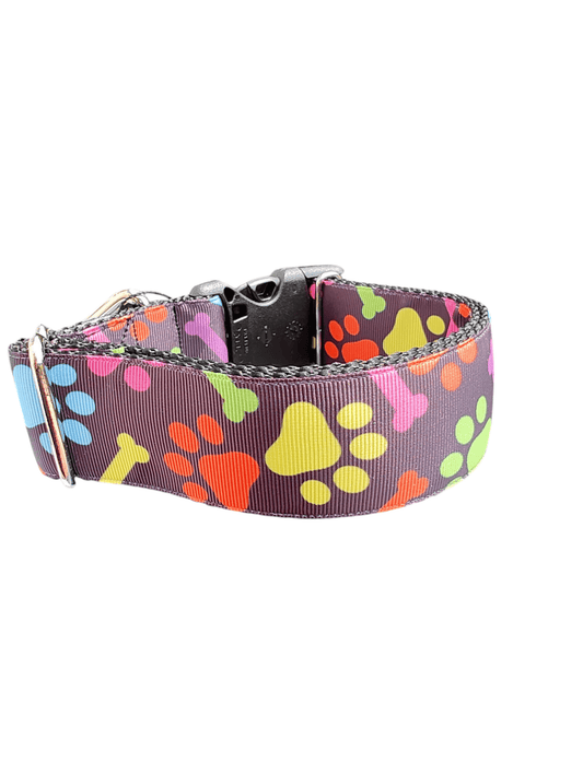 1.5" Wide Rainbow Bones and Pawprints Nylon Dog Collar - Paws & Play Paradise