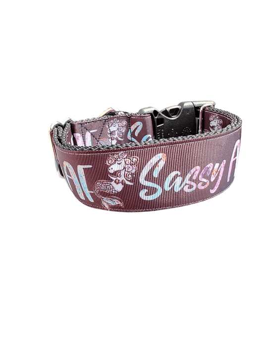 1.5" Wide Sassy AF Nylon Dog Collar - Paws & Play Paradise