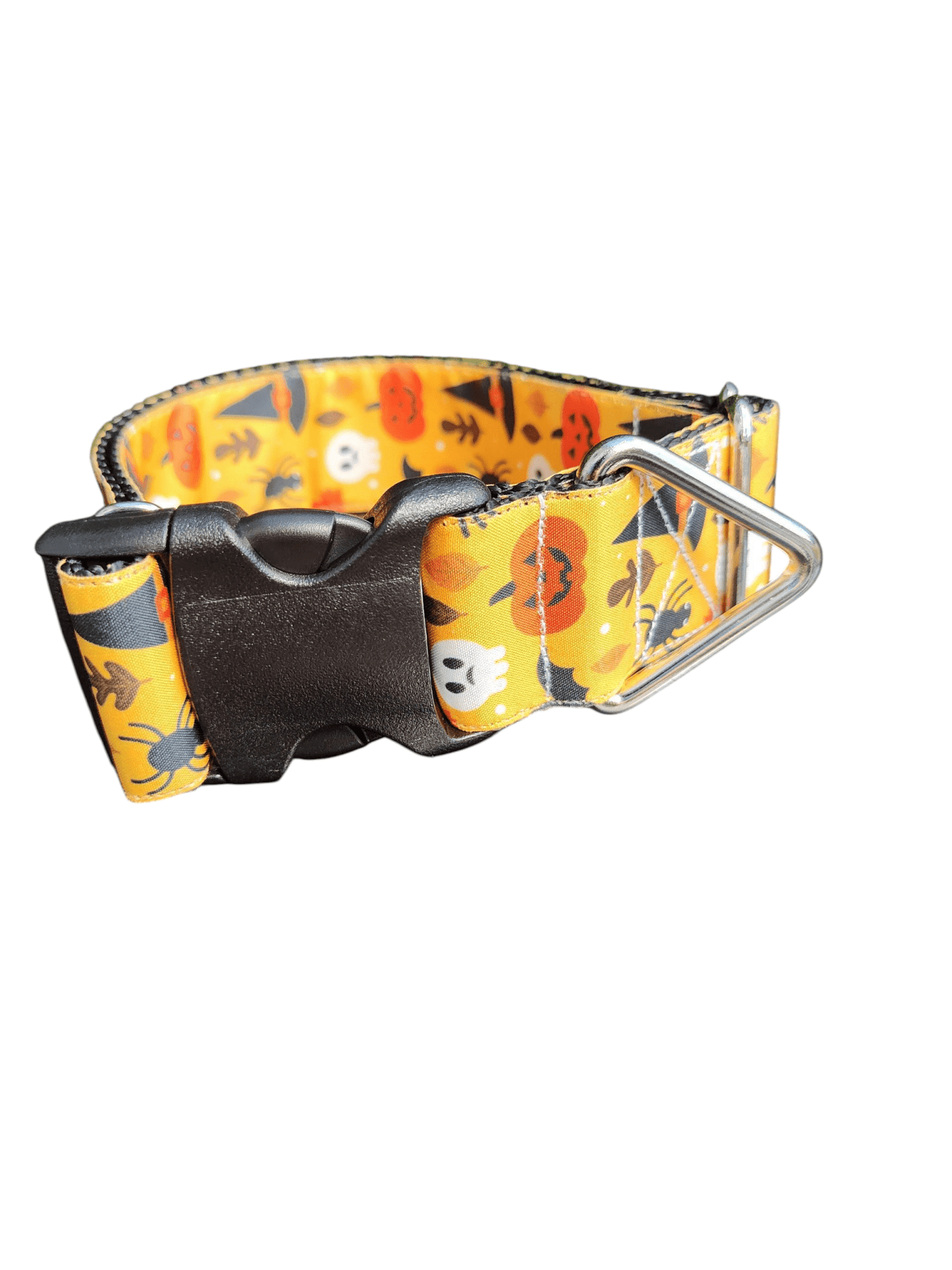 1.5" Wide Spooky Night Nylon Dog Collar - Paws & Play Paradise