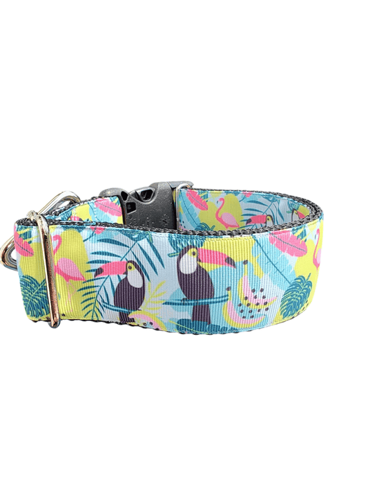 1.5" Wide Tropical Toucans Nylon Dog Collar - Paws & Play Paradise