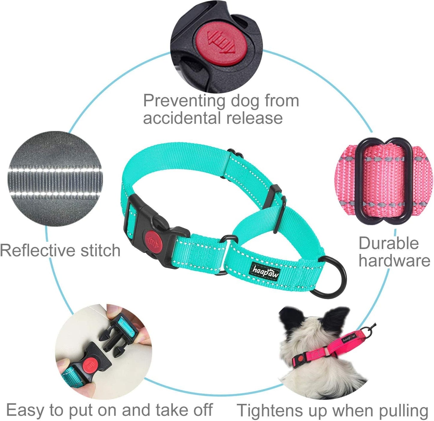 2 Packs Dog Training Collars for Small Medium Large Dogs - Paws & Play Paradise
