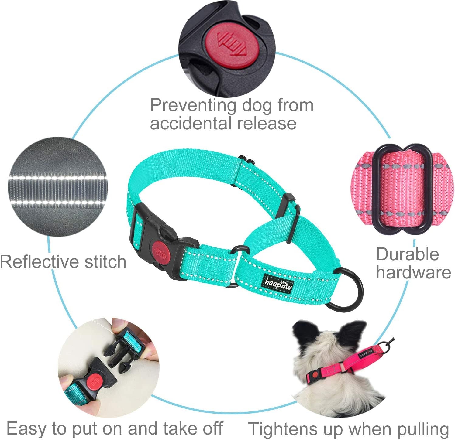 2 Packs Dog Training Collars for Small Medium Large Dogs - Paws & Play Paradise