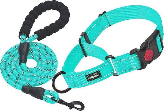 2 Packs Dog Training Collars for Small Medium Large Dogs - Paws & Play Paradise