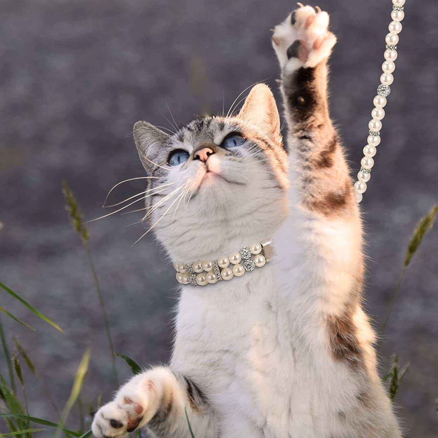 2 Pcs Pearl Collar and Leash for Dogs - Paws & Play Paradise