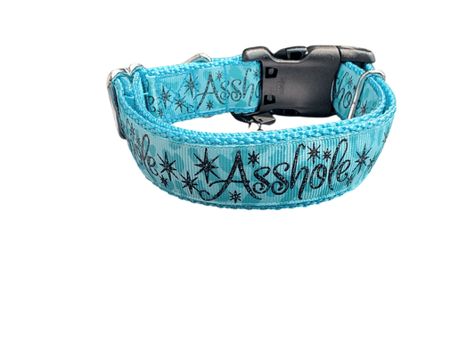 Asshole Blue Green Nylon Dog Collar - Paws & Play Paradise
