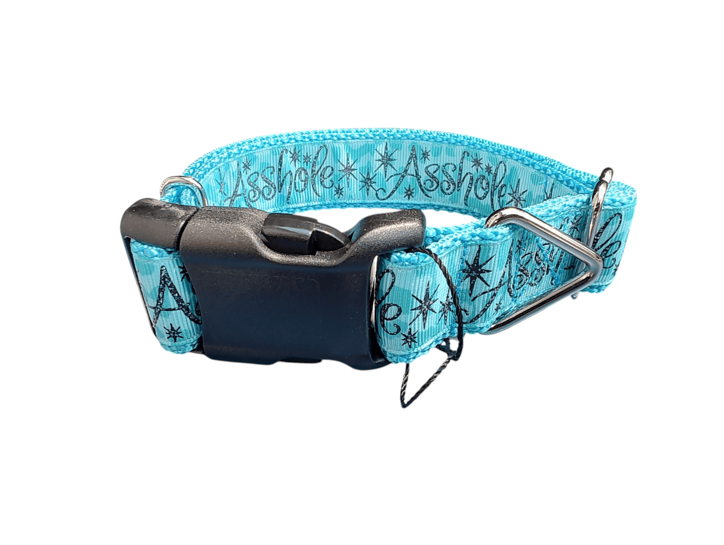 Asshole Blue Green Nylon Dog Collar - Paws & Play Paradise