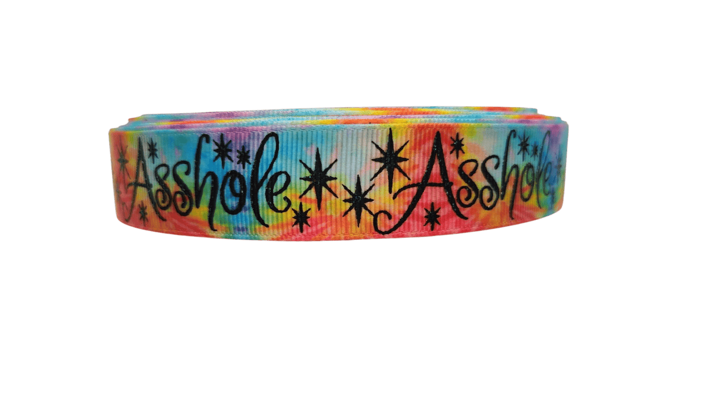 Asshole Rainbow Nylon Dog Collar - Paws & Play Paradise