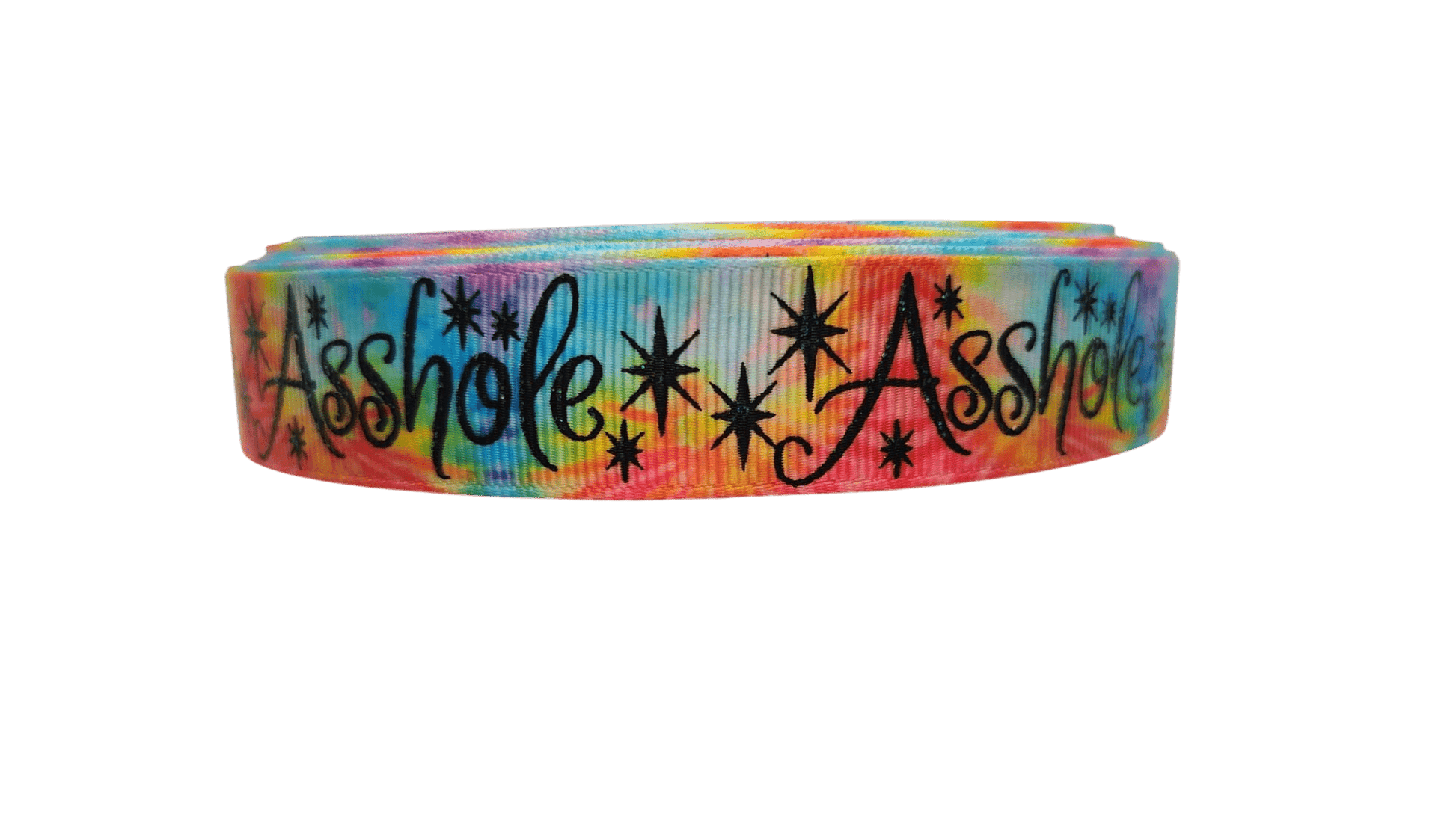Asshole Rainbow Nylon Dog Collar - Paws & Play Paradise