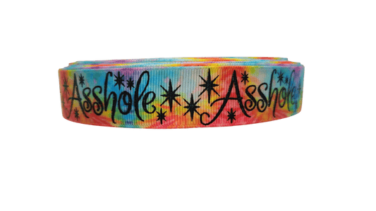 Asshole Rainbow Nylon Dog Collar - Paws & Play Paradise