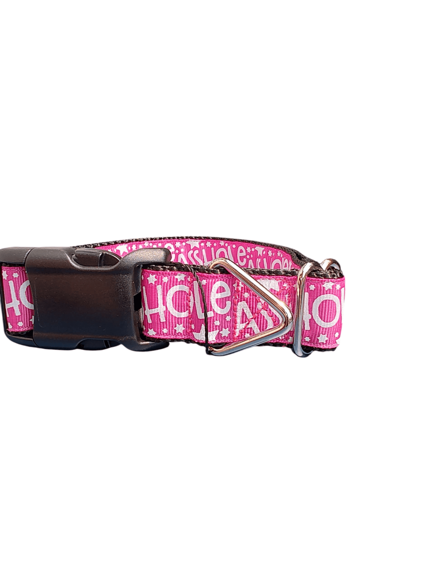 Asshole Raspberry Pink Nylon Dog Collar - Paws & Play Paradise