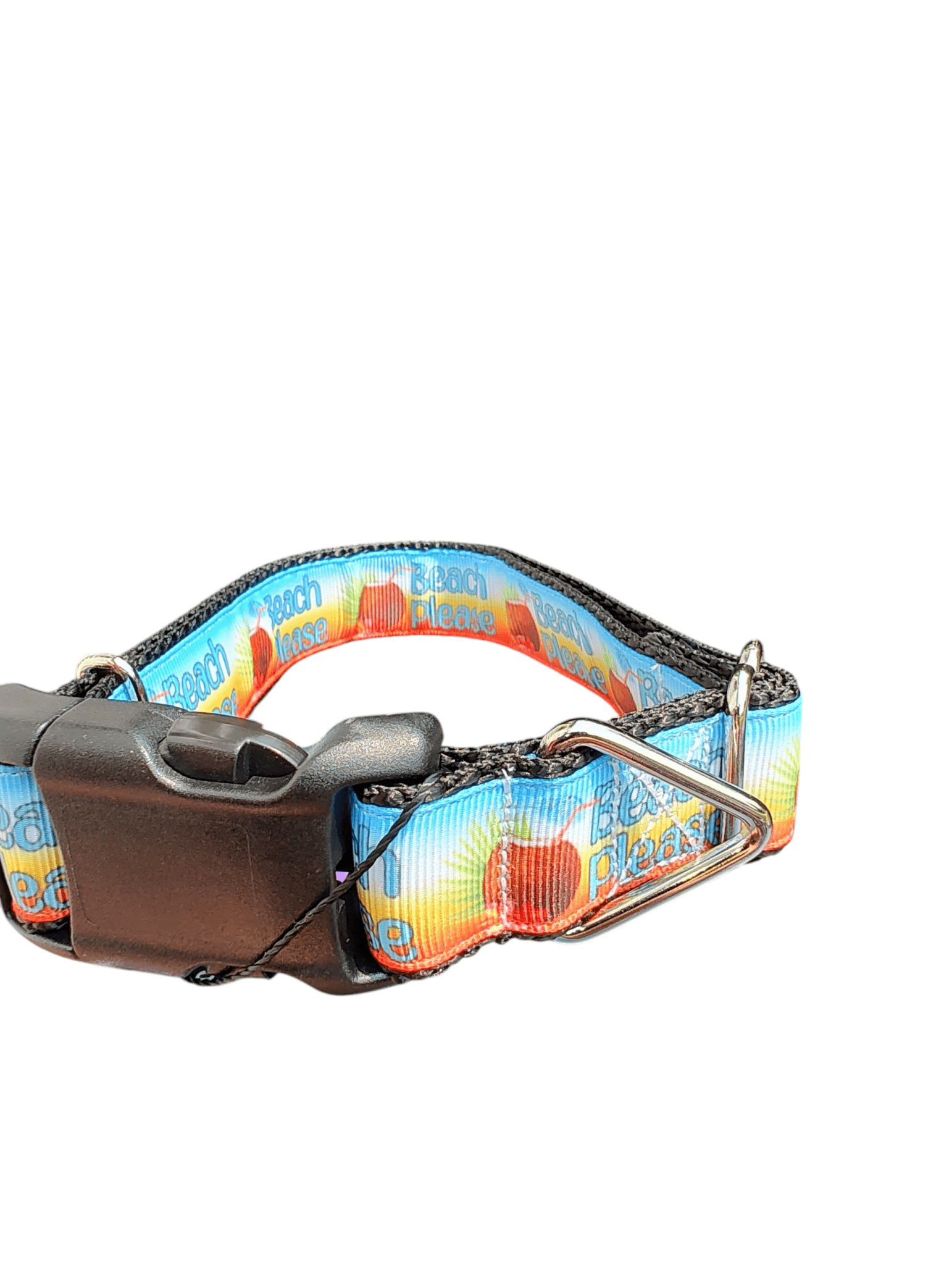 Beach Please Nylon Dog Collar - Paws & Play Paradise