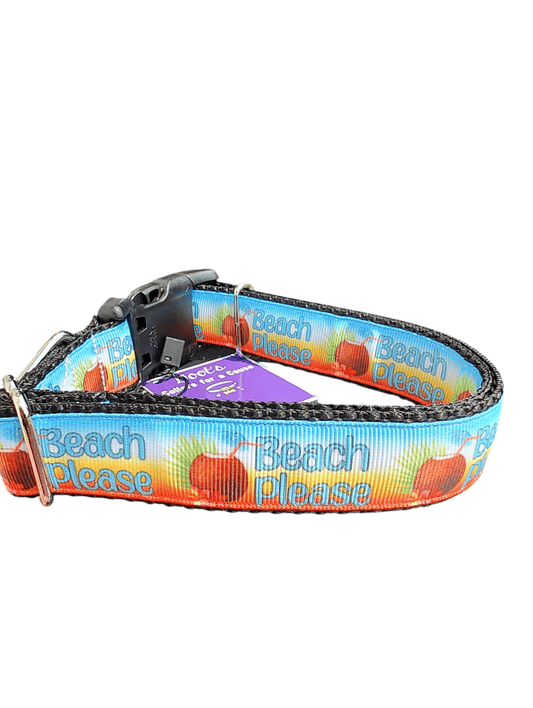 Beach Please Nylon Dog Collar - Paws & Play Paradise