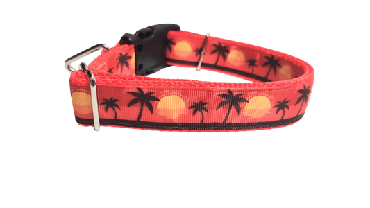 Beach Sunsets Nylon Dog Collar - Paws & Play Paradise