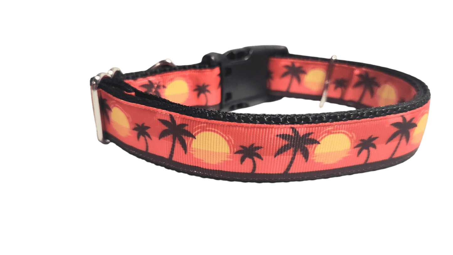Beach Sunsets Nylon Dog Collar - Paws & Play Paradise