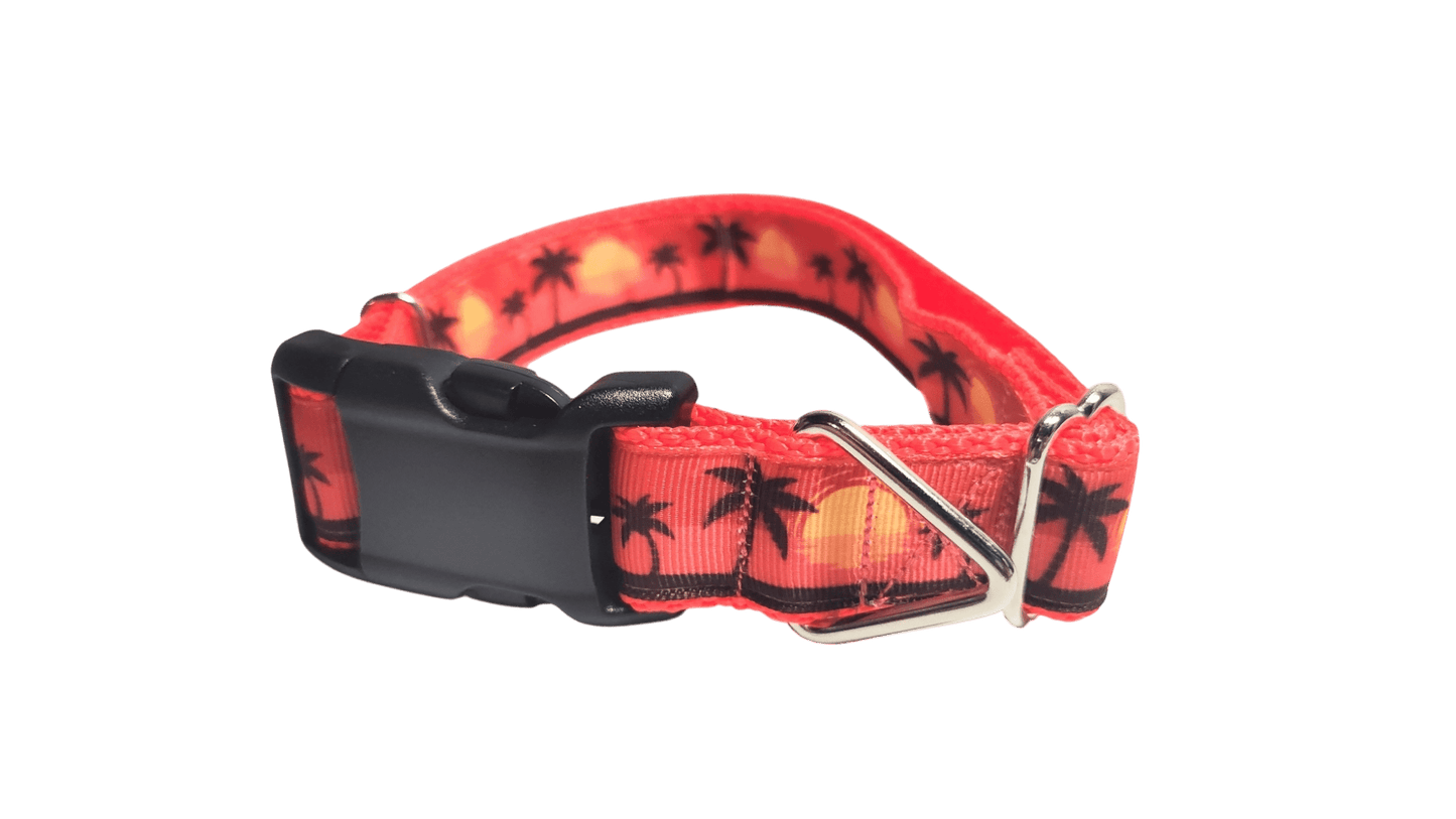 Beach Sunsets Nylon Dog Collar - Paws & Play Paradise