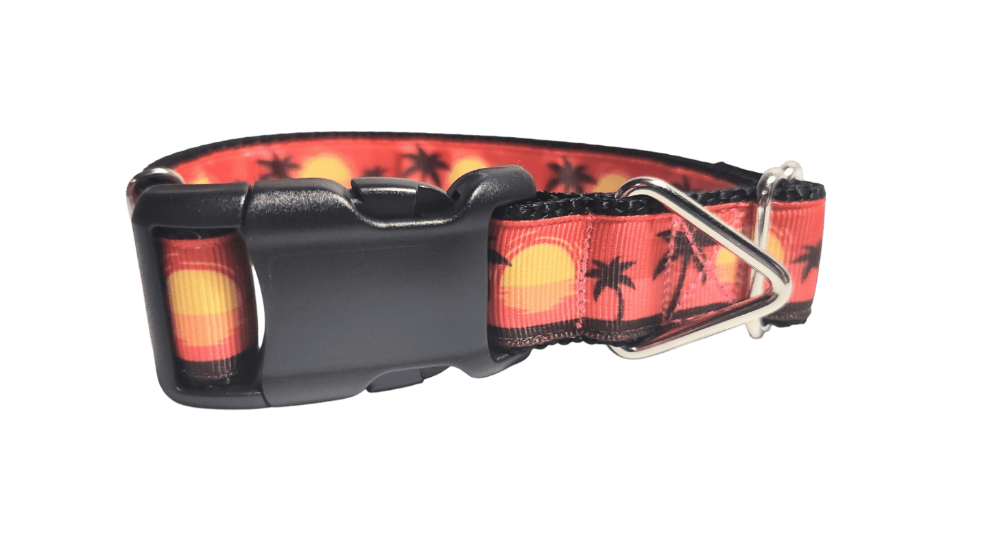 Beach Sunsets Nylon Dog Collar - Paws & Play Paradise