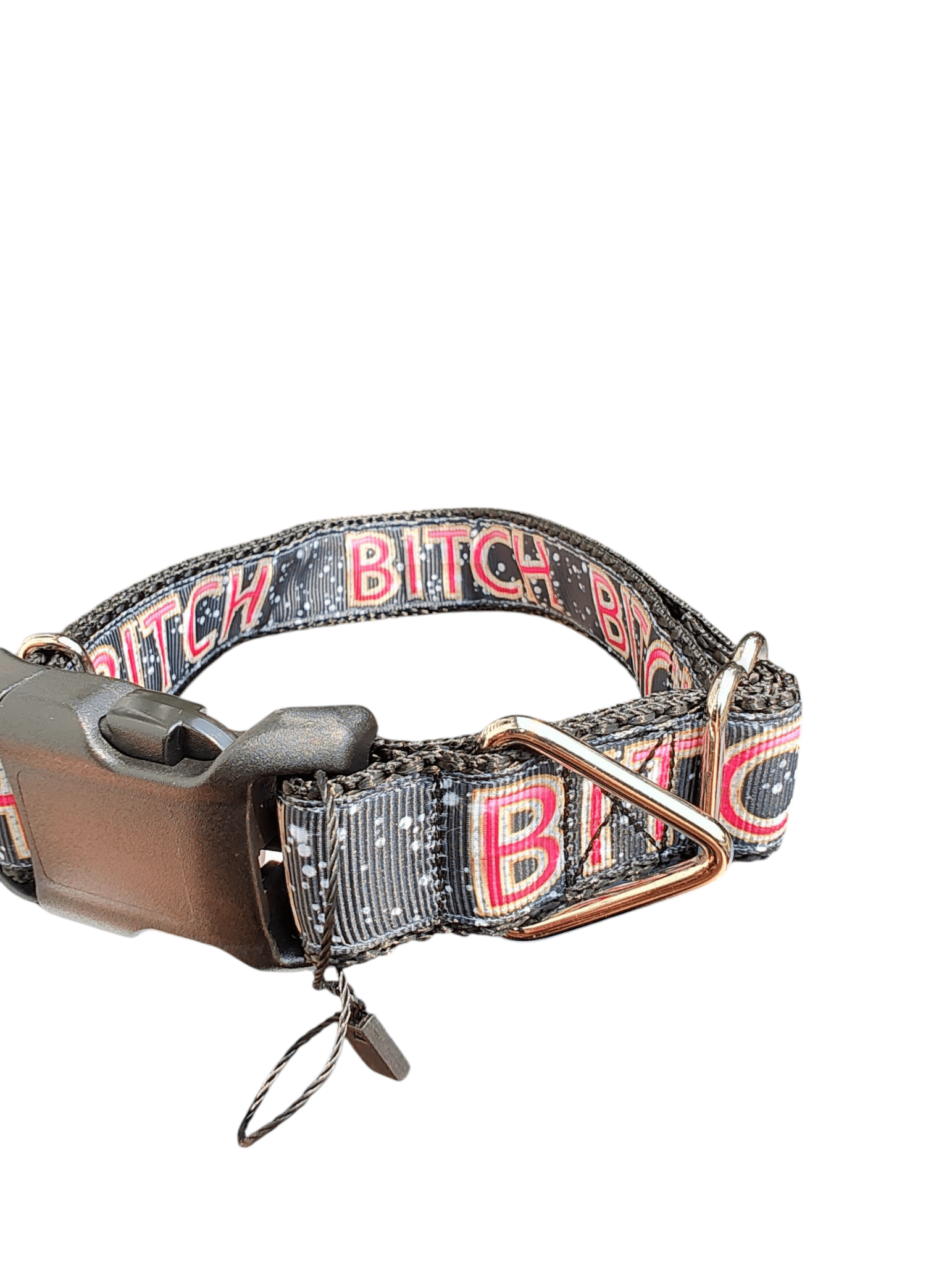 Bitch Nylon Dog Collar - Paws & Play Paradise