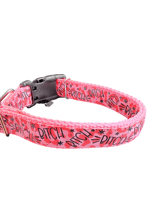 Bitch Pink Nylon Dog Collar - Paws & Play Paradise