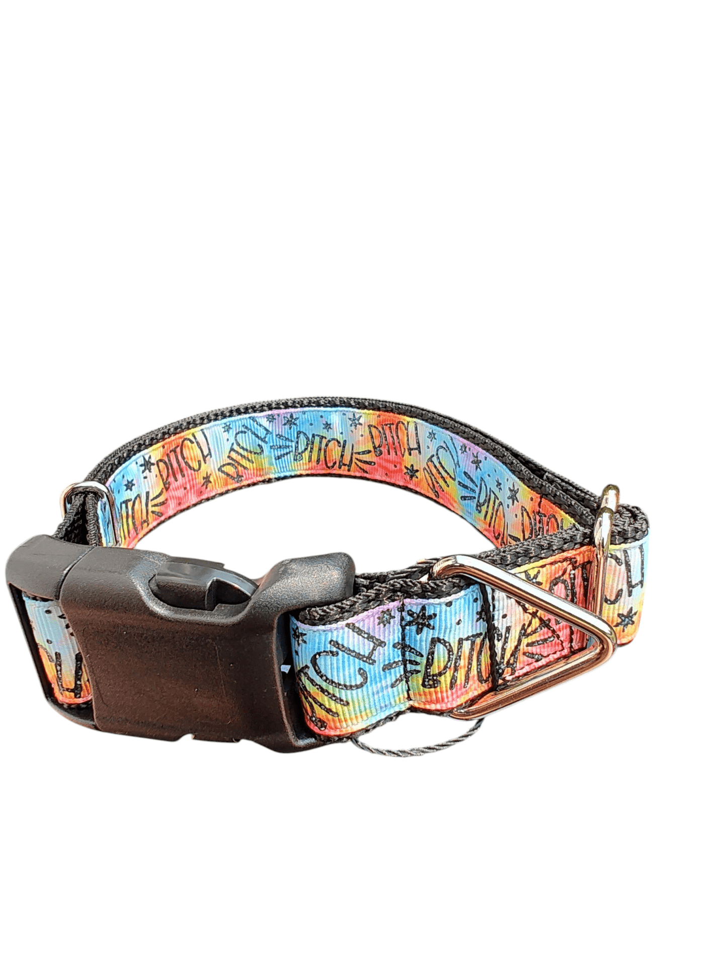 Bitch Rainbow Nylon Dog Collar - Paws & Play Paradise