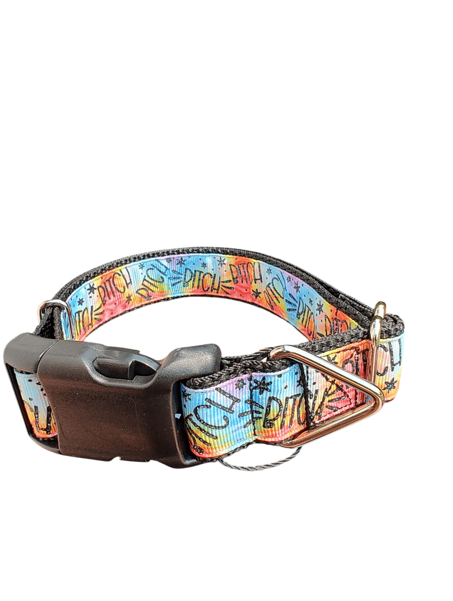 Bitch Rainbow Nylon Dog Collar - Paws & Play Paradise