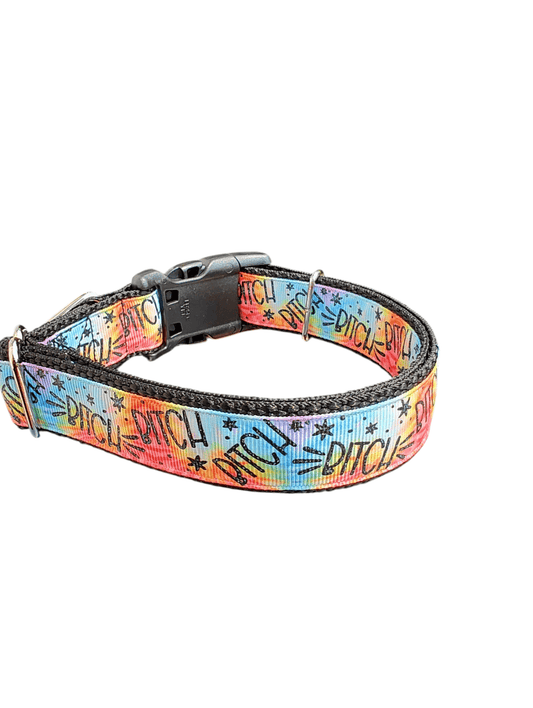 Bitch Rainbow Nylon Dog Collar - Paws & Play Paradise