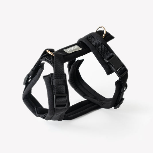 Black - Comfort Dog Harness - Paws & Play Paradise