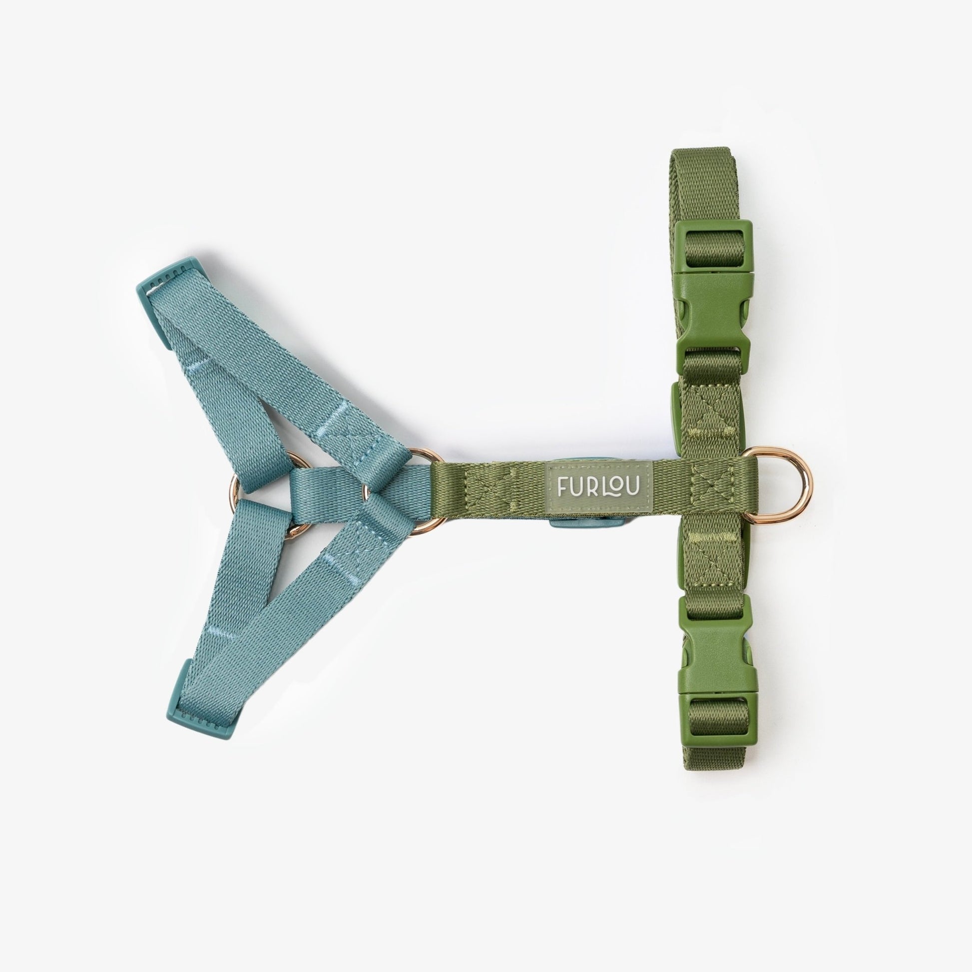 Blue and Green - Dog Harness - Paws & Play Paradise