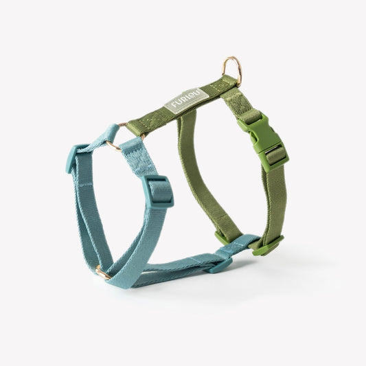 Blue and Green - Dog Harness - Paws & Play Paradise