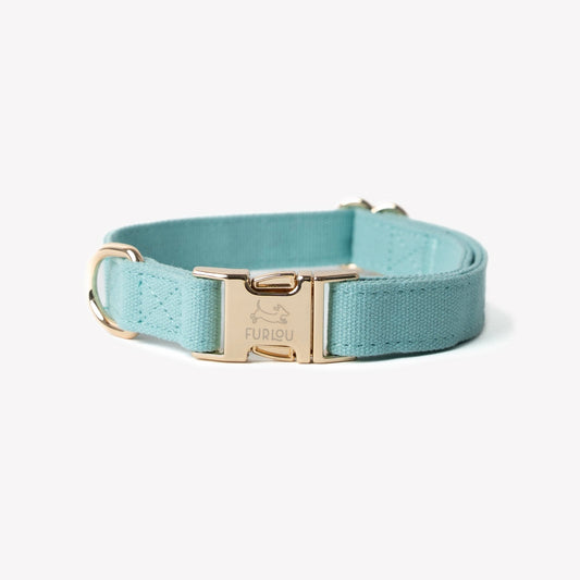 'Blue' - Canvas Dog Collar - Paws & Play Paradise