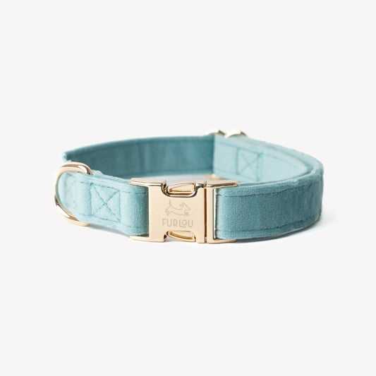 'Blue' - Velvet Dog Collar - Paws & Play Paradise