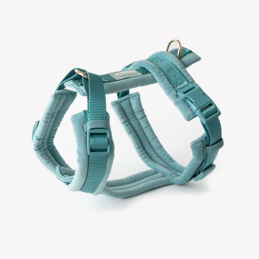 Blue - Velvet Dog Harness - Paws & Play Paradise