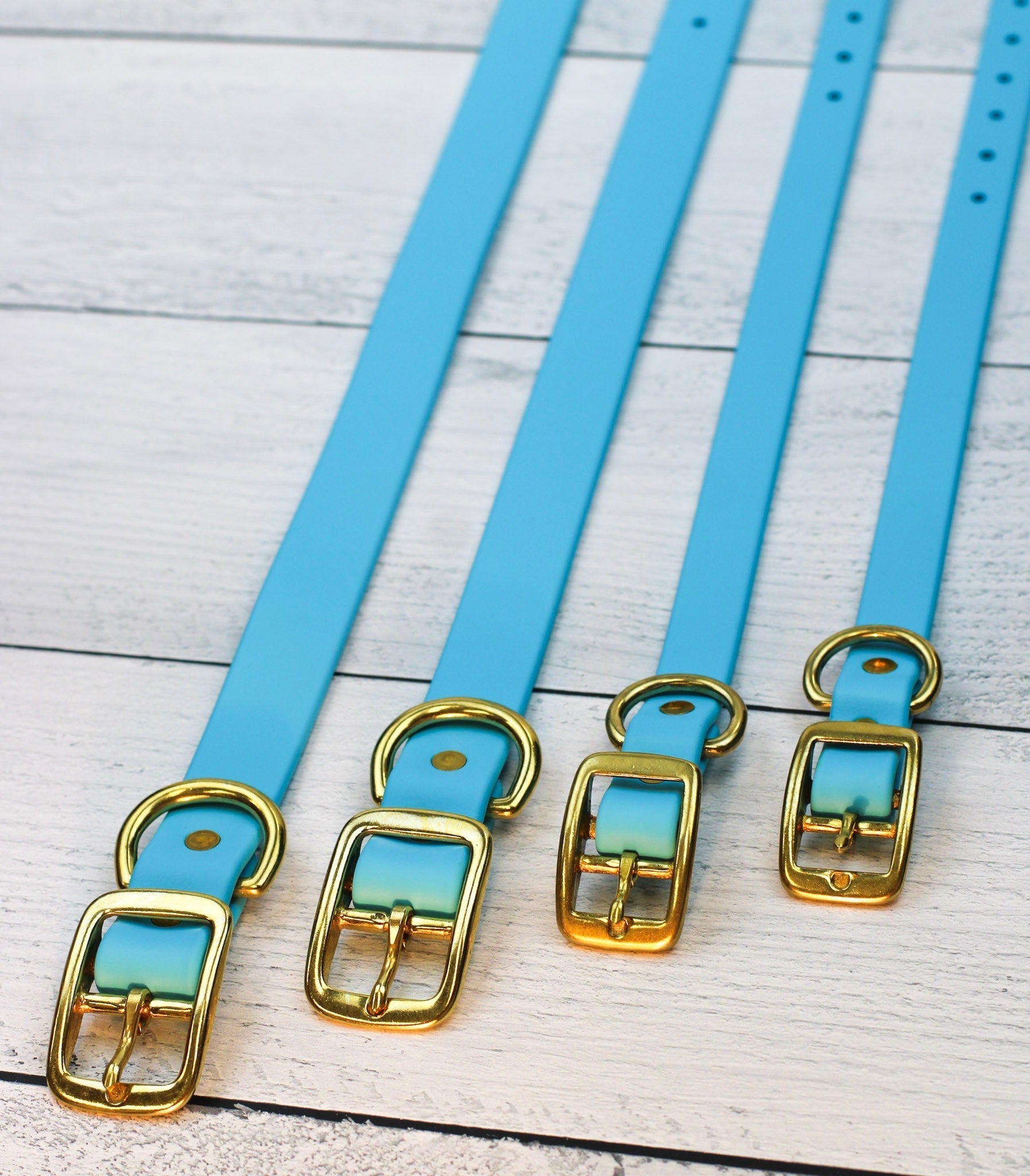 Blueberry Bliss Biothane Collar - Paws & Play Paradise