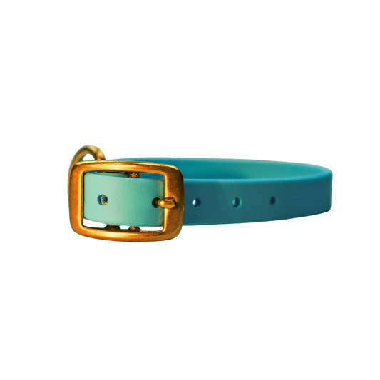 Blueberry Bliss Biothane Collar - Paws & Play Paradise