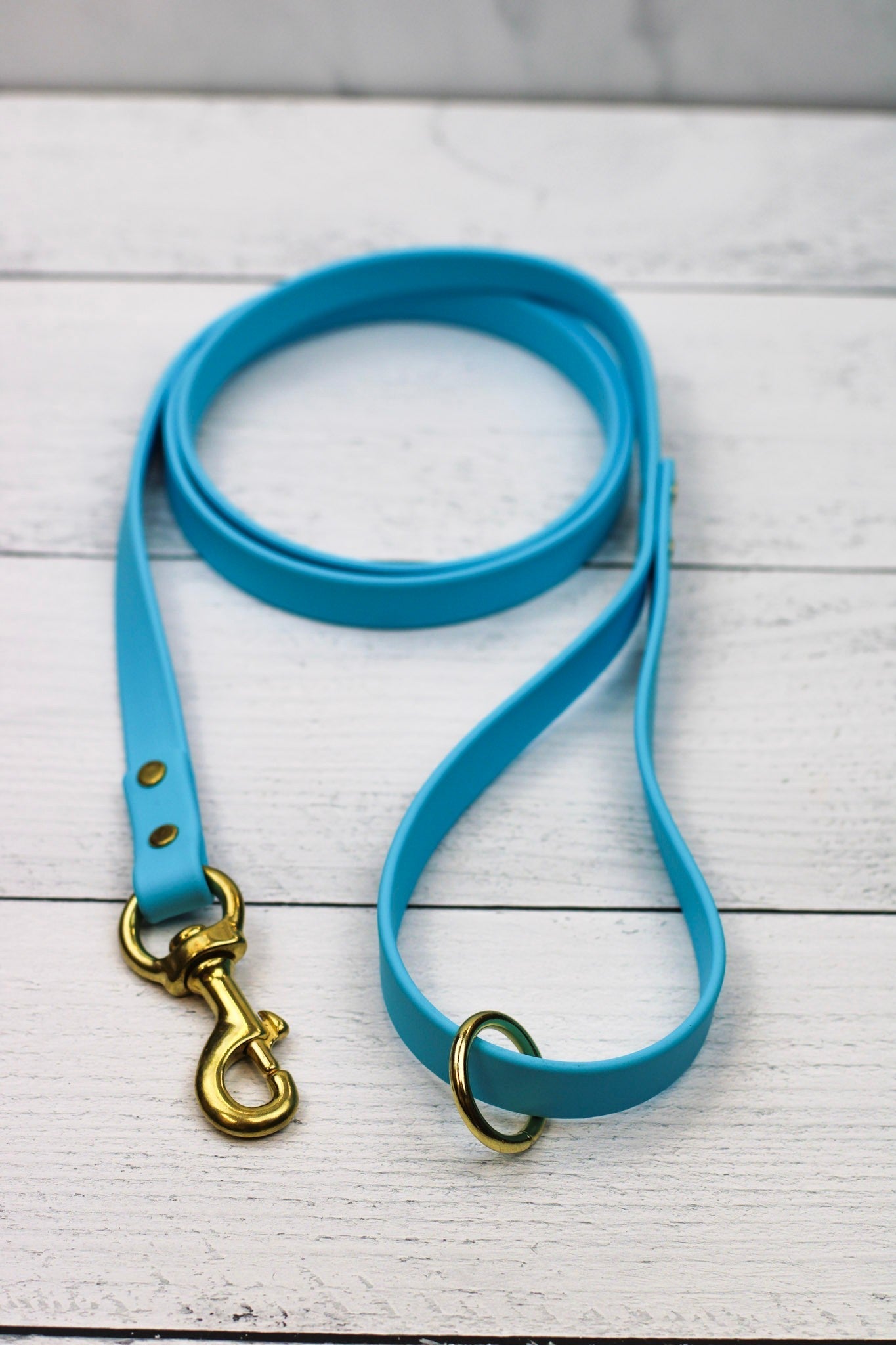 Blueberry Bliss Biothane Leash - Paws & Play Paradise