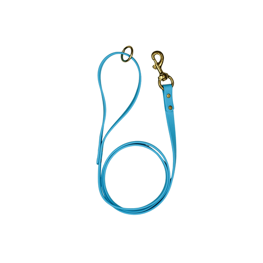 Blueberry Bliss Biothane Leash - Paws & Play Paradise
