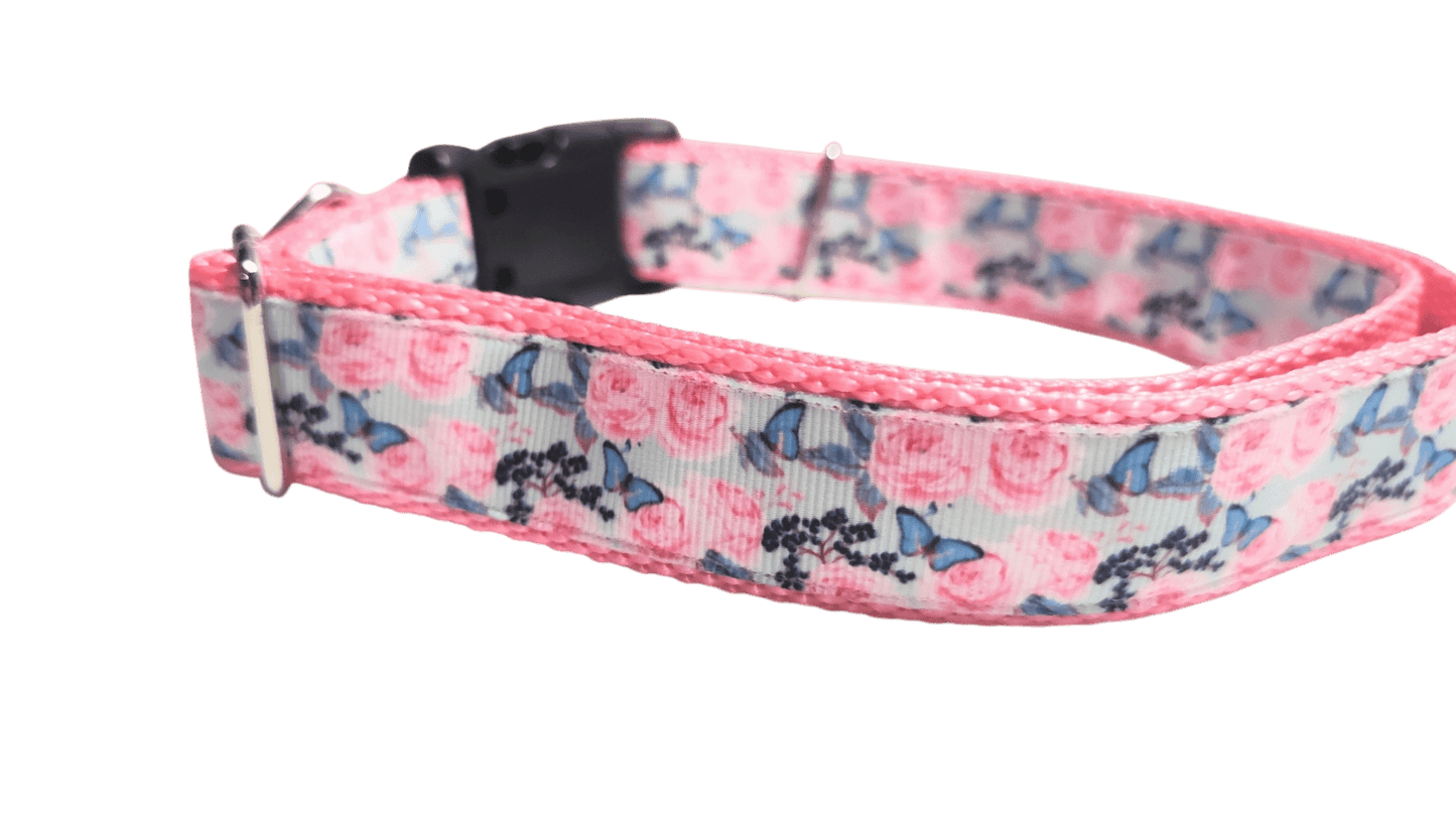 Butterflies and Roses Nylon Dog Collar - Paws & Play Paradise