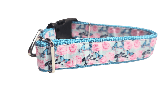Butterflies and Roses Nylon Dog Collar - Paws & Play Paradise