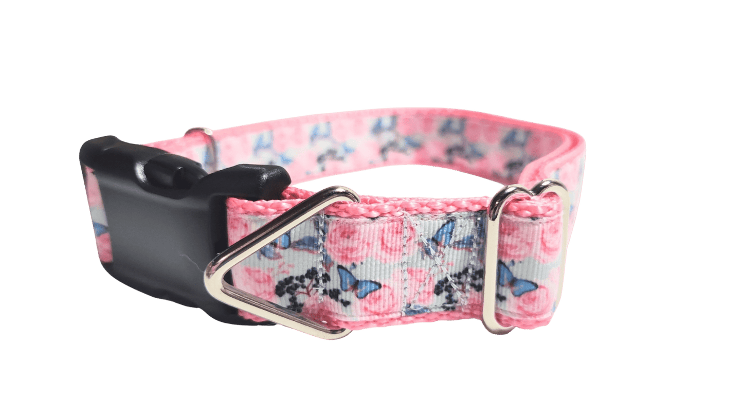 Butterflies and Roses Nylon Dog Collar - Paws & Play Paradise