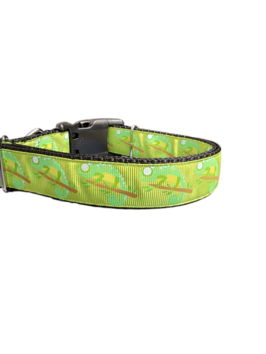 Chameleon Nylon Dog Collar - Paws & Play Paradise