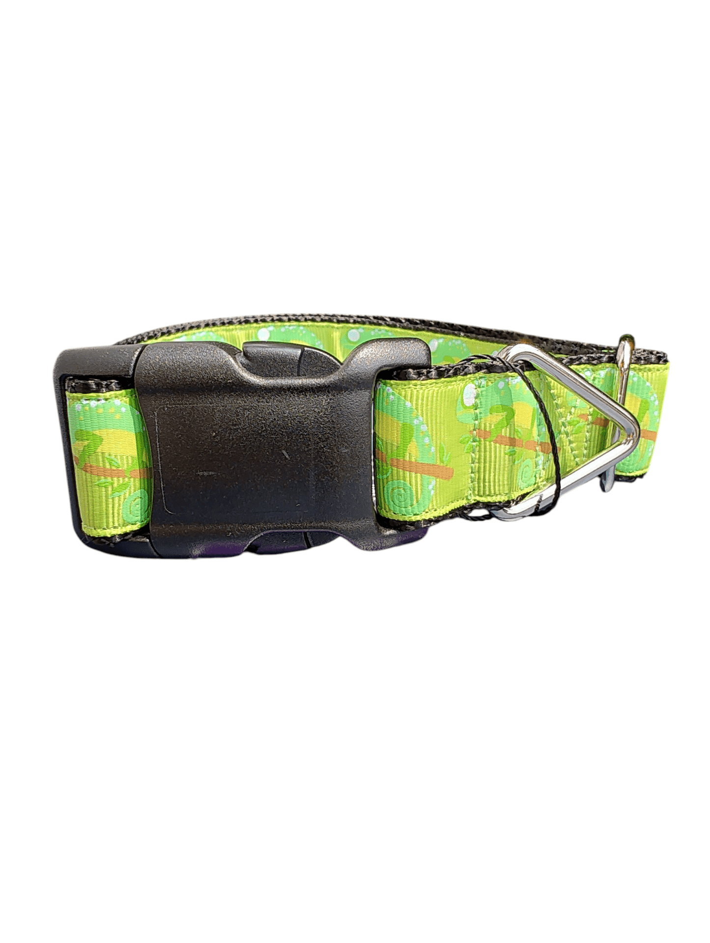 Chameleon Nylon Dog Collar - Paws & Play Paradise