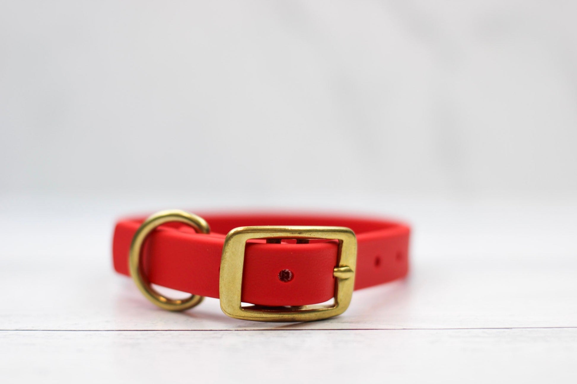 Cranberry Crush Biothane Collar - Paws & Play Paradise