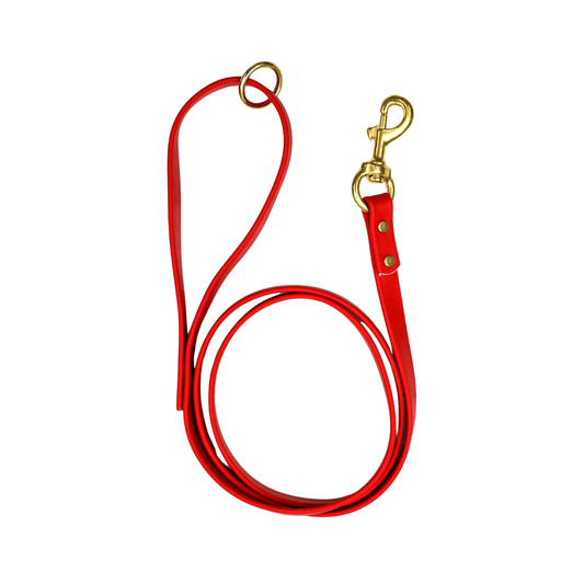 Cranberry Crush Biothane Leash - Paws & Play Paradise