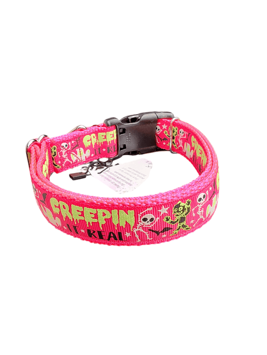 Creepin It Real Nylon Dog Collar - Paws & Play Paradise