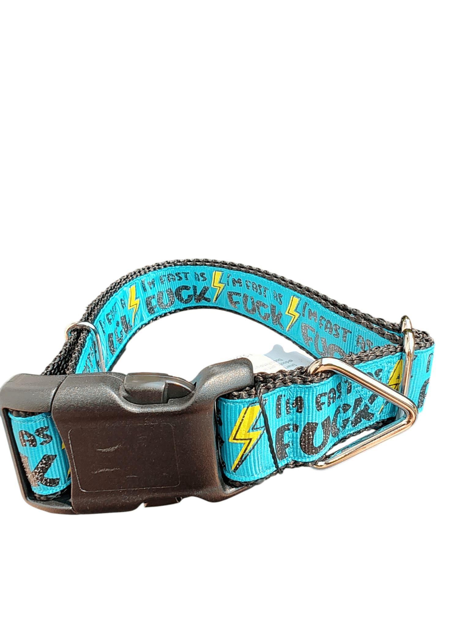 Fast As Fuck Nylon Dog Collar - Paws & Play Paradise