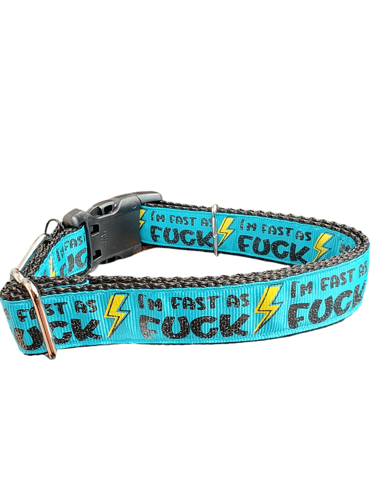 Fast As Fuck Nylon Dog Collar - Paws & Play Paradise