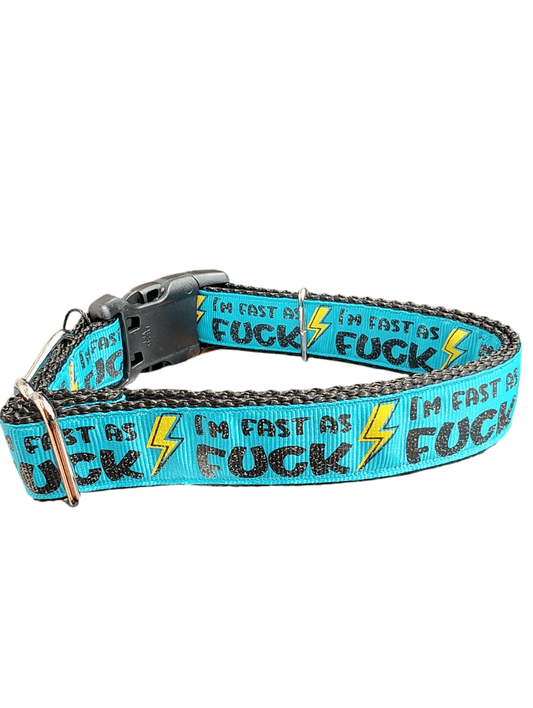 Fast As Fuck Nylon Dog Collar - Paws & Play Paradise
